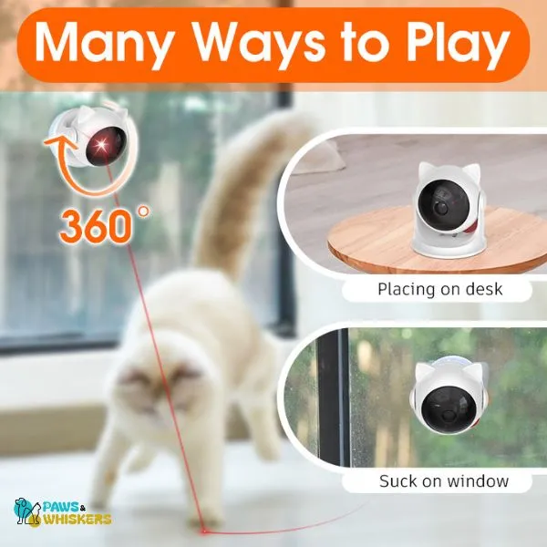 Cat Laser Toy | Paws & Whiskers