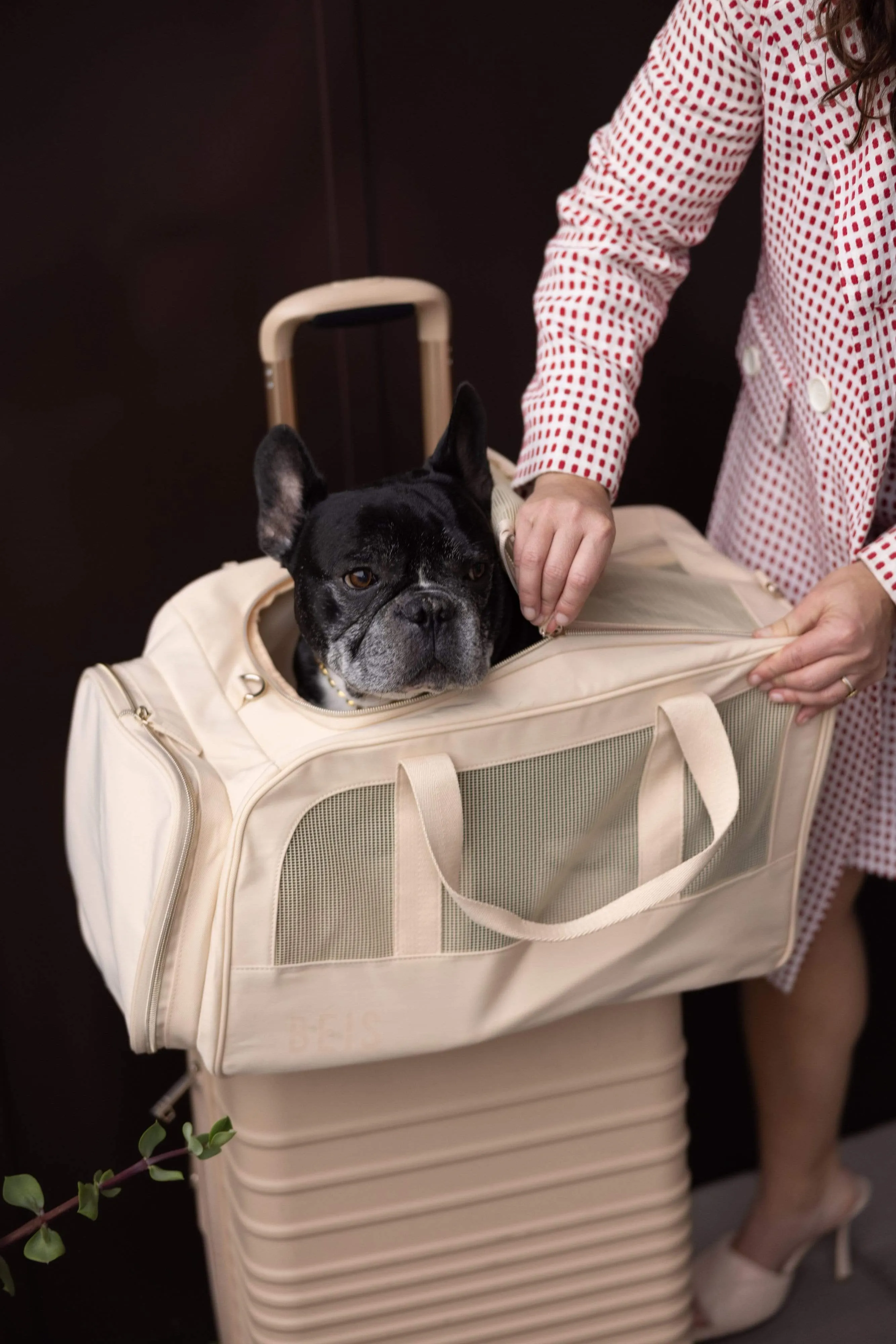 The Regulation Pet Carry-on in Beige